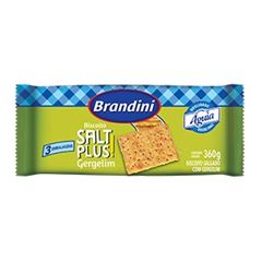 BISC BRAND SALT PLUS GERGELIM